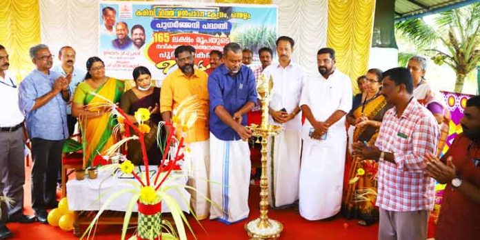 ഗുണമേന്മയുള്ള വിത്തിനങ്ങള് ഉറപ്പാക്കുന്നതിന് നഴ്സറി നിയമം നടപ്പാക്കും : മന്ത്രി പി.പ്രസാദ് ഗുണമേന്മയുള്ള വിത്തിനങ്ങള് ഉറപ്പാക്കുന്നതിന് നഴ്സറി നിയമം നടപ്പാക്കും : മന്ത്രി പി.പ്രസാദ്