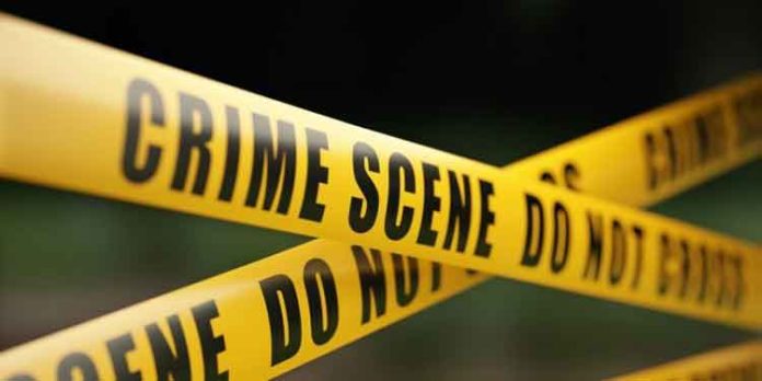 ജോലി ഇല്ല ; ഡിപ്രഷനിലായ യുവാവ് മാതാവിനെ കൊന്ന് ആത്മഹത്യചെയ്തു ജോലി ഇല്ല ; ഡിപ്രഷനിലായ യുവാവ് മാതാവിനെ കൊന്ന് ആത്മഹത്യചെയ്തു