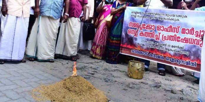 പാലക്കാട് സപ്ലൈകോയ്ക്കു മുന്നില് കര്ഷക ഐക്യസമിതി നെല്ല് കത്തിച്ച് പ്രതിഷേധിച്ചു പാലക്കാട് സപ്ലൈകോയ്ക്കു മുന്നില് കര്ഷക ഐക്യസമിതി നെല്ല് കത്തിച്ച് പ്രതിഷേധിച്ചു