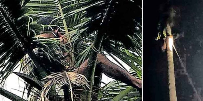 ഫയർ ഫോഴ്സിന്റെ ‘ജലപീരങ്കി’ 13 മണിക്കൂറിന് ശേഷം ഫലം കണ്ടു ഫയർ ഫോഴ്സിന്റെ ‘ജലപീരങ്കി’ 13 മണിക്കൂറിന് ശേഷം ഫലം കണ്ടു