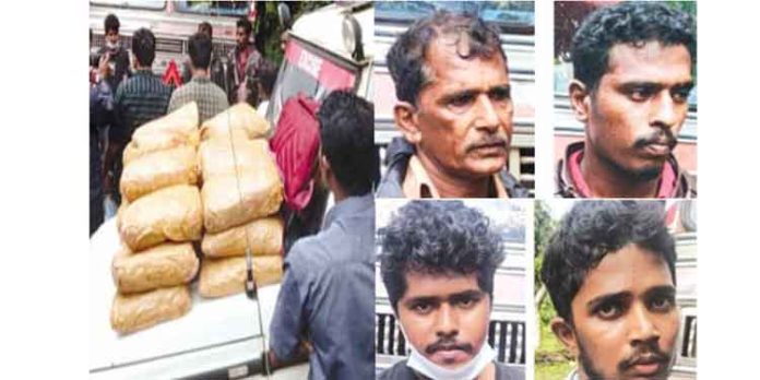 79 കിലോ കഞ്ചാവുമായി കലൂരില് നാലുപേര് അറസ്റ്റില് 79 കിലോ കഞ്ചാവുമായി കലൂരില് നാലുപേര് അറസ്റ്റില്