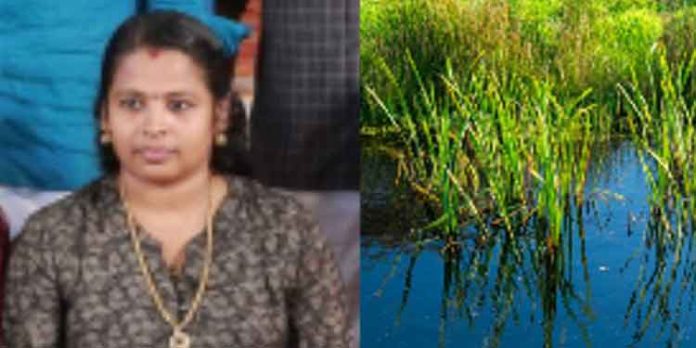പാടശേഖരത്തിൽ അമ്മയും മകളും മുങ്ങി മരിച്ചു പാടശേഖരത്തിൽ അമ്മയും മകളും മുങ്ങി മരിച്ചു