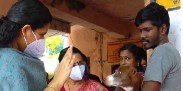 തിരുവനന്തപുരത്ത് വളർത്തു നായ്ക്കൾക്കുള്ള വാക്സിനേഷൻ ആരംഭിച്ചു തിരുവനന്തപുരത്ത് വളർത്തു നായ്ക്കൾക്കുള്ള വാക്സിനേഷൻ ആരംഭിച്ചു