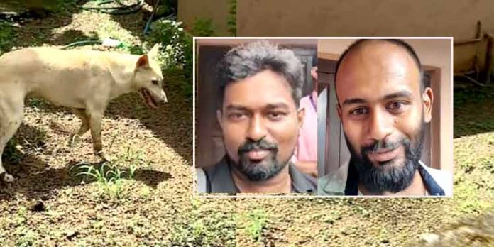 ഓമല്ലൂര് നിവാസികളെ 5 മണിക്കൂര് മുള്മുനയില് നിര്ത്തി തെരുവുനായ ; നോക്കുകുത്തിയായി സര്ക്കാര് സംവിധാനം ; നായയെ കൂട്ടിലാക്കിയത് രണ്ടു യുവാക്കള് – വീഡിയോ കാണാം ഓമല്ലൂര് നിവാസികളെ 5 മണിക്കൂര് മുള്മുനയില് നിര്ത്തി തെരുവുനായ ; നോക്കുകുത്തിയായി സര്ക്കാര് സംവിധാനം ; നായയെ കൂട്ടിലാക്കിയത് രണ്ടു യുവാക്കള് – വീഡിയോ കാണാം