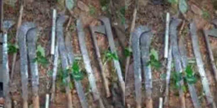 കണ്ണൂരില് ഓവുചാലില് ഒളിപ്പിച്ചുവെച്ച നിലയില് വടിവാളുകള് ഉള്പ്പെടെ നിരവധി മാരകായുധങ്ങള് കണ്ടെടുത്തു കണ്ണൂരില് ഓവുചാലില് ഒളിപ്പിച്ചുവെച്ച നിലയില് വടിവാളുകള് ഉള്പ്പെടെ നിരവധി മാരകായുധങ്ങള് കണ്ടെടുത്തു