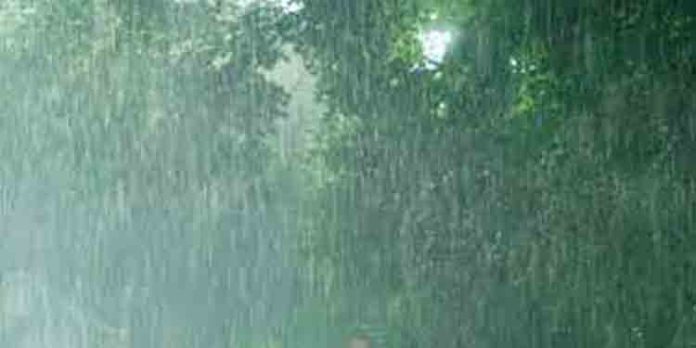 കേരളത്തില് മണ്സൂണ് മഴയില് കുറവ് ; ഒക്ടോബര് ഇരുപതാം തീയതിയോടെ കാലവര്ഷം കേരളത്തില് നിന്ന് പിന്വാങ്ങും കേരളത്തില് മണ്സൂണ് മഴയില് കുറവ് ; ഒക്ടോബര് ഇരുപതാം തീയതിയോടെ കാലവര്ഷം കേരളത്തില് നിന്ന് പിന്വാങ്ങും