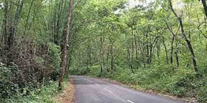 യാത്രാ ക്ലേശം പരിഹരിക്കണം ; ഗതാഗത വകുപ്പ് മന്ത്രിക്ക് നിവേദനം നല്കി യാത്രാ ക്ലേശം പരിഹരിക്കണം ; ഗതാഗത വകുപ്പ് മന്ത്രിക്ക് നിവേദനം നല്കി