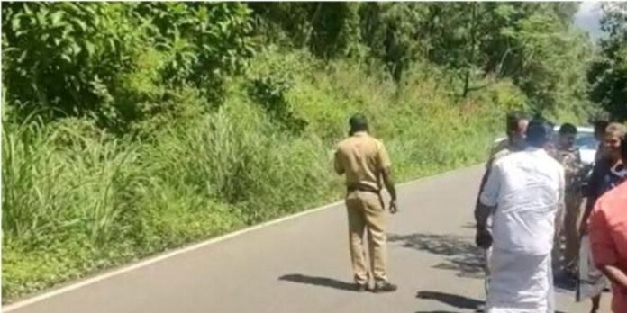 ചെങ്കുളത്ത് ജനവാസ മേഖലയില് പുലി ഇറങ്ങി ചെങ്കുളത്ത് ജനവാസ മേഖലയില് പുലി ഇറങ്ങി