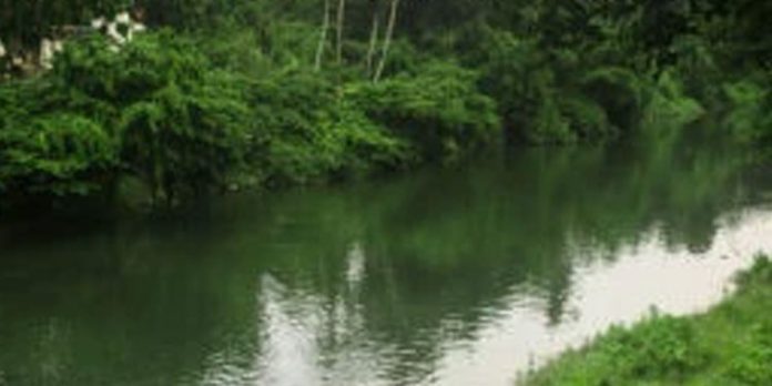 മീനച്ചിലാറ്റില് ഒഴുക്കില്പ്പെട്ട് വിദ്യാര്ത്ഥി മരിച്ചു മീനച്ചിലാറ്റില് ഒഴുക്കില്പ്പെട്ട് വിദ്യാര്ത്ഥി മരിച്ചു