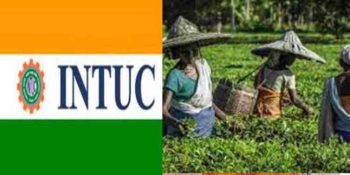 വേതന വര്ദ്ദനവ് നടപ്പിലാക്കിയില്ല ; തോട്ടം തൊഴിലാളികൾ ധര്ണ സംഘടിപ്പിക്കുന്നു വേതന വര്ദ്ദനവ് നടപ്പിലാക്കിയില്ല ; തോട്ടം തൊഴിലാളികൾ ധര്ണ സംഘടിപ്പിക്കുന്നു