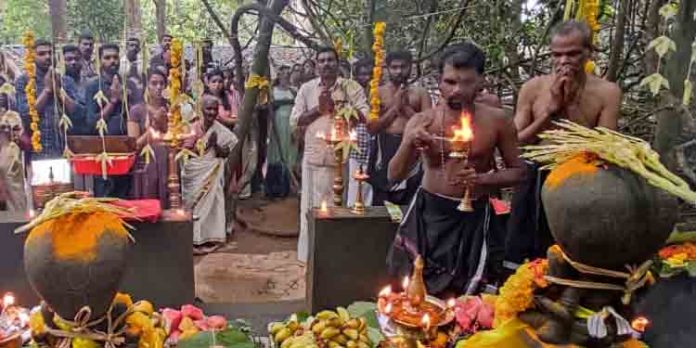 കല്ലേലി കാവില് ആയില്യം പൂജ സമര്പ്പിച്ചു കല്ലേലി കാവില് ആയില്യം പൂജ സമര്പ്പിച്ചു