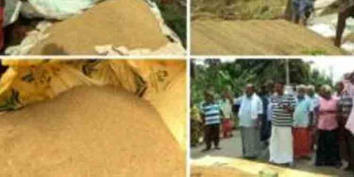 മില്ലുടമകളുടെ പ്രശ്നത്തിന് പരിഹാരം ; സംസ്ഥാനത്ത് നെല്ല് സംഭരണം ഇന്ന് മുതല് ആരംഭിക്കും മില്ലുടമകളുടെ പ്രശ്നത്തിന് പരിഹാരം ; സംസ്ഥാനത്ത് നെല്ല് സംഭരണം ഇന്ന് മുതല് ആരംഭിക്കും