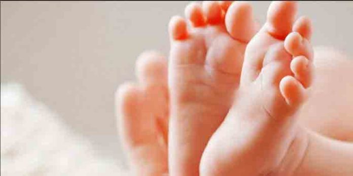 12 ദിവസം പ്രായമുള്ള കുഞ്ഞിനെ തട്ടിക്കൊണ്ടുപോയതായി പരാതി 12 ദിവസം പ്രായമുള്ള കുഞ്ഞിനെ തട്ടിക്കൊണ്ടുപോയതായി പരാതി
