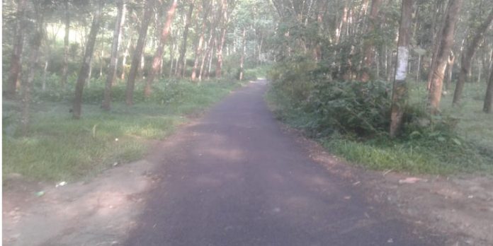 വികസനം ; ഏറാട്ടുകടവ്-കിടങ്ങുമൂഴി റോഡ് അധികൃതര് അവഗണിക്കുന്നതായി പരാതി വികസനം ; ഏറാട്ടുകടവ്-കിടങ്ങുമൂഴി റോഡ് അധികൃതര് അവഗണിക്കുന്നതായി പരാതി