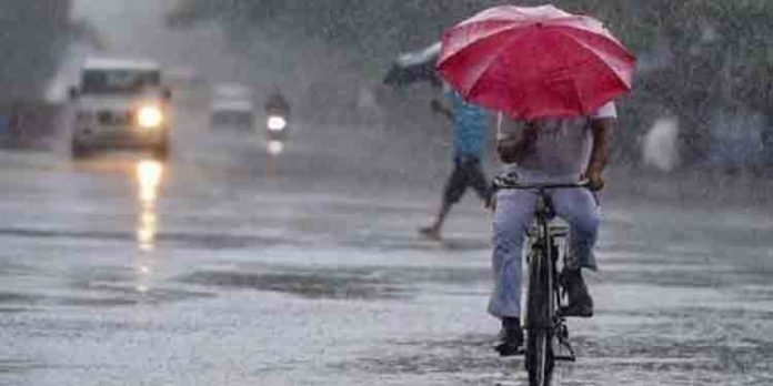 മലയോര ജില്ലകളില് ഒറ്റപ്പെട്ട ശക്തമായ മഴയ്ക്ക് സാധ്യത ; പത്തനംതിട്ട , ഇടുക്കി ജില്ലകളില് യല്ലോ അലര്ട്ട് മലയോര ജില്ലകളില് ഒറ്റപ്പെട്ട ശക്തമായ മഴയ്ക്ക് സാധ്യത ; പത്തനംതിട്ട , ഇടുക്കി ജില്ലകളില് യല്ലോ അലര്ട്ട്