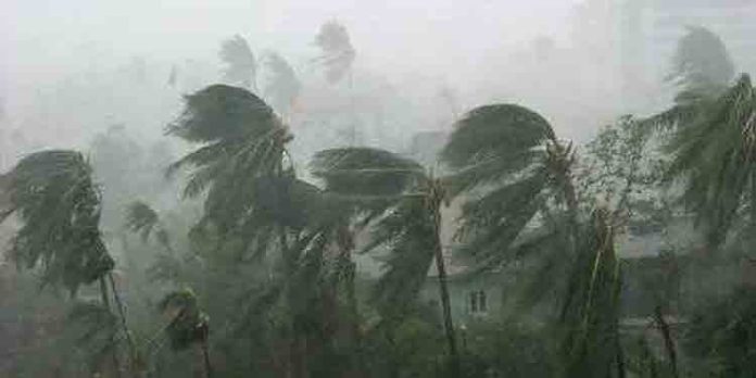 ശനിയാഴ്ചയോടെ തുലാവര്ഷം എത്തിച്ചേരാന് സാധ്യത ; കേന്ദ്ര കാലാവസ്ഥ വകുപ്പ് ശനിയാഴ്ചയോടെ തുലാവര്ഷം എത്തിച്ചേരാന് സാധ്യത ; കേന്ദ്ര കാലാവസ്ഥ വകുപ്പ്