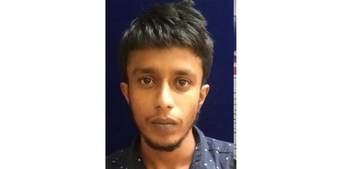 വീട്ടുപറമ്പിൽ കഞ്ചാവ് ചെടി വളർത്തിയ കേസിലെ പ്രതി കീഴടങ്ങി വീട്ടുപറമ്പിൽ കഞ്ചാവ് ചെടി വളർത്തിയ കേസിലെ പ്രതി കീഴടങ്ങി