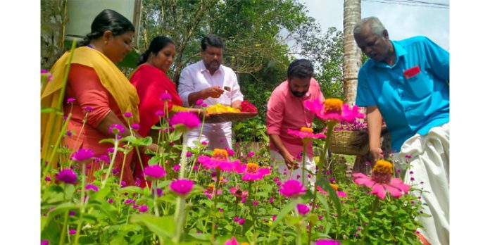 പൂജ ആഘോഷത്തിനുള്ള പൂക്കളൊരുക്കി പന്തളം തെക്കേക്കര പൂജ ആഘോഷത്തിനുള്ള പൂക്കളൊരുക്കി പന്തളം തെക്കേക്കര