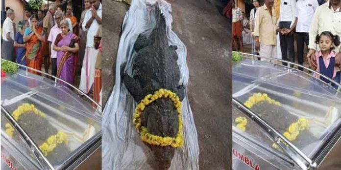 അനന്തപുരം ക്ഷേത്രത്തിലെ ബബിയ മുതലയ്ക്ക് വിട അനന്തപുരം ക്ഷേത്രത്തിലെ ബബിയ മുതലയ്ക്ക് വിട