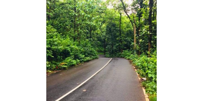 കോന്നി, തണ്ണിത്തോട് റോഡിലെ അപകടകരമായ മരങ്ങൾ മുറിച്ച് നീക്കണം കോന്നി, തണ്ണിത്തോട് റോഡിലെ അപകടകരമായ മരങ്ങൾ മുറിച്ച് നീക്കണം