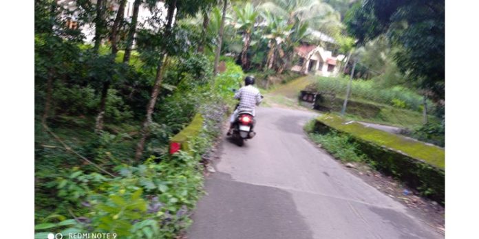 ജില്ലാ അതിർത്തിയിലെ പാലം അപകട ഭീഷണിയിൽ ; കൈവരികൾ കാട് മൂടിയ നിലയിൽ ജില്ലാ അതിർത്തിയിലെ പാലം അപകട ഭീഷണിയിൽ ; കൈവരികൾ കാട് മൂടിയ നിലയിൽ