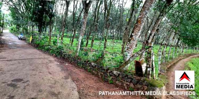 പത്തനംതിട്ട നഗരത്തില് നിന്നും 5 കിലോമീറ്റര് മാറി വള്ളിക്കോട് സമനിരപ്പായ 56 സെന്റ് സ്ഥലം ഉടന് വില്പ്പനക്ക് പത്തനംതിട്ട നഗരത്തില് നിന്നും 5 കിലോമീറ്റര് മാറി വള്ളിക്കോട് സമനിരപ്പായ 56 സെന്റ് സ്ഥലം ഉടന് വില്പ്പനക്ക്