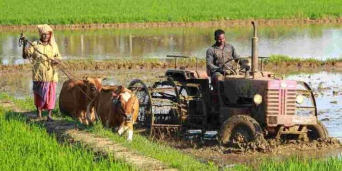 കാര്ഷിക യന്ത്രവത്ക്കരണമായ സ്മാം പദ്ധതി : രജിസ്ട്രേഷന് ആരംഭിച്ചു കാര്ഷിക യന്ത്രവത്ക്കരണമായ സ്മാം പദ്ധതി : രജിസ്ട്രേഷന് ആരംഭിച്ചു