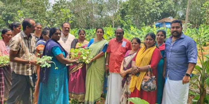 തരിശ് സ്ഥലങ്ങള് ഏറ്റെടുത്ത് കൃഷിഭൂമി ആക്കാന് പദ്ധതിയിട്ട് റാന്നി- അങ്ങാടി ഗ്രാമ പഞ്ചായത്ത് തരിശ് സ്ഥലങ്ങള് ഏറ്റെടുത്ത് കൃഷിഭൂമി ആക്കാന് പദ്ധതിയിട്ട് റാന്നി- അങ്ങാടി ഗ്രാമ പഞ്ചായത്ത്