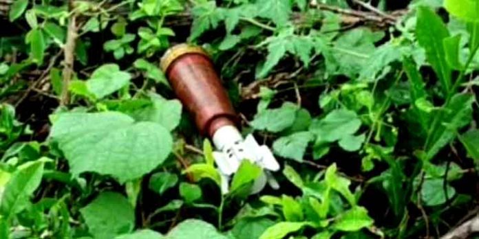 തമിഴ്നാട്ടില് അടച്ചിട്ട സൈനിക പരിശീലന കേന്ദ്രത്തില് ഗ്രനേഡുകള് കണ്ടെത്തി തമിഴ്നാട്ടില് അടച്ചിട്ട സൈനിക പരിശീലന കേന്ദ്രത്തില് ഗ്രനേഡുകള് കണ്ടെത്തി