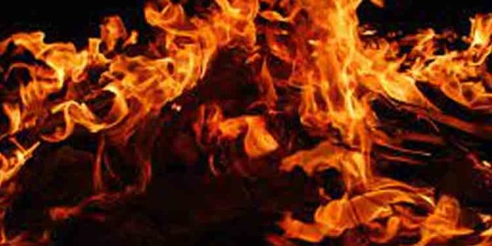 പാലക്കാട് ആമയൂരിൽ വീട് കത്തിനശിച്ചു ; ആളില്ലാതിരുന്നതിനാൽ വലിയ അപകടം ഒഴിവായി പാലക്കാട് ആമയൂരിൽ വീട് കത്തിനശിച്ചു ; ആളില്ലാതിരുന്നതിനാൽ വലിയ അപകടം ഒഴിവായി