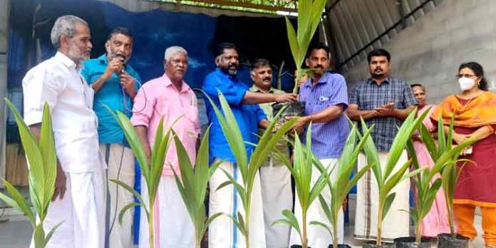 കൊടുമൺ പഞ്ചായത്തിലെ മുഴുവന് കുടുംബങ്ങള്ക്കും സൗജന്യമായി തെങ്ങിന് തൈകള് കൊടുമൺ പഞ്ചായത്തിലെ മുഴുവന് കുടുംബങ്ങള്ക്കും സൗജന്യമായി തെങ്ങിന് തൈകള്