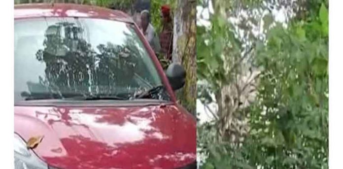 കോട്ടയത്തുനിന്ന് കാണാതായ യുവാവ് തിരുവനന്തപുരത്തെ റബര് തോട്ടത്തില് തൂങ്ങിമരിച്ച നിലയില് കോട്ടയത്തുനിന്ന് കാണാതായ യുവാവ് തിരുവനന്തപുരത്തെ റബര് തോട്ടത്തില് തൂങ്ങിമരിച്ച നിലയില്