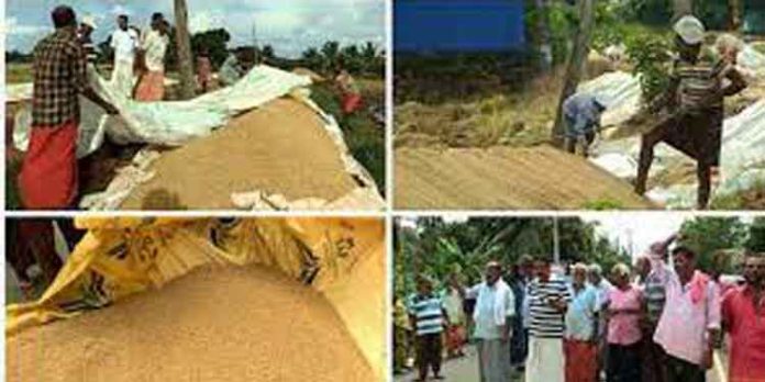 നെല്ല് സംഭരണത്തിലെ പ്രതിസന്ധി : കുട്ടനാട്ടിൽ സമരവുമായി കർഷകർ നെല്ല് സംഭരണത്തിലെ പ്രതിസന്ധി : കുട്ടനാട്ടിൽ സമരവുമായി കർഷകർ
