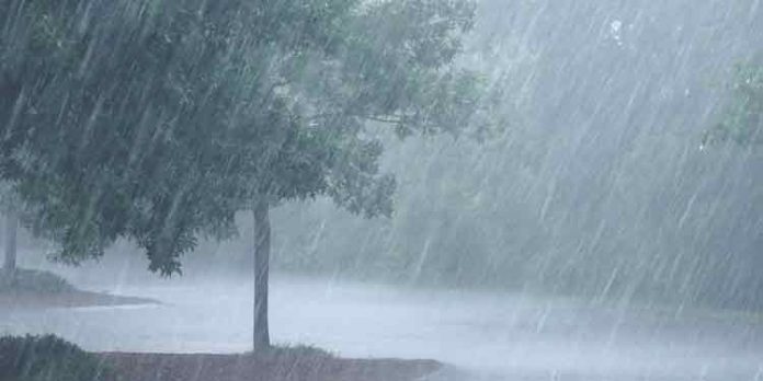 ഇന്നും നാളെയും കേരളത്തില് വ്യാപക മഴയ്ക്ക് സാധ്യത ഇന്നും നാളെയും കേരളത്തില് വ്യാപക മഴയ്ക്ക് സാധ്യത