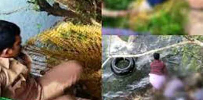 കല്ലാറിൽ കയത്തിലകപ്പെട്ട കുട്ടിയെ രക്ഷിക്കാനിറങ്ങിയ മൂന്ന് പേർ മുങ്ങിമരിച്ചു കല്ലാറിൽ കയത്തിലകപ്പെട്ട കുട്ടിയെ രക്ഷിക്കാനിറങ്ങിയ മൂന്ന് പേർ മുങ്ങിമരിച്ചു