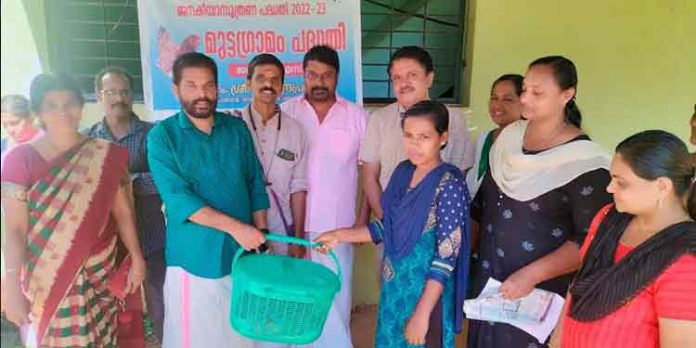 പന്തളം തെക്കേക്കര ഗ്രാമപഞ്ചായത്തില് മുട്ടഗ്രാമം പദ്ധതിക്ക് തുടക്കമായി പന്തളം തെക്കേക്കര ഗ്രാമപഞ്ചായത്തില് മുട്ടഗ്രാമം പദ്ധതിക്ക് തുടക്കമായി