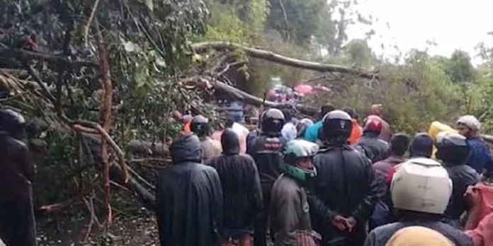 കനത്ത മഴ ; മൂന്നാറില് രണ്ടിടത്ത് ഉരുള്പൊട്ടല് കനത്ത മഴ ; മൂന്നാറില് രണ്ടിടത്ത് ഉരുള്പൊട്ടല്