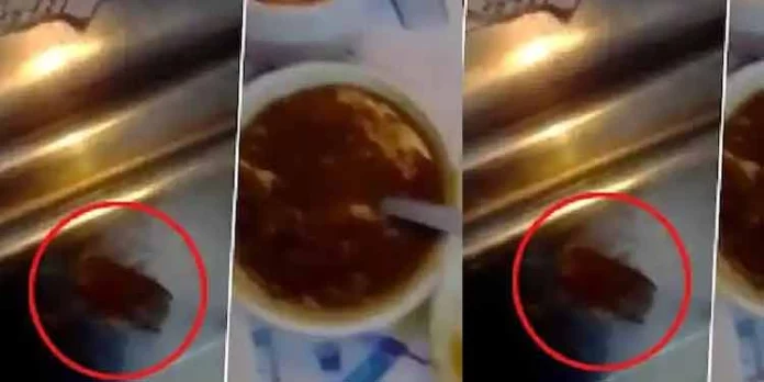 എയിംസില് ശസ്ത്രക്രിയ കഴിഞ്ഞ് കിടക്കുന്ന കുഞ്ഞിന് ആശുപത്രിയില് നിന്ന് ലഭിച്ച ഭക്ഷണത്തില് നിന്ന് പാറ്റയെ കണ്ടെത്തി എയിംസില് ശസ്ത്രക്രിയ കഴിഞ്ഞ് കിടക്കുന്ന കുഞ്ഞിന് ആശുപത്രിയില് നിന്ന് ലഭിച്ച ഭക്ഷണത്തില് നിന്ന് പാറ്റയെ കണ്ടെത്തി