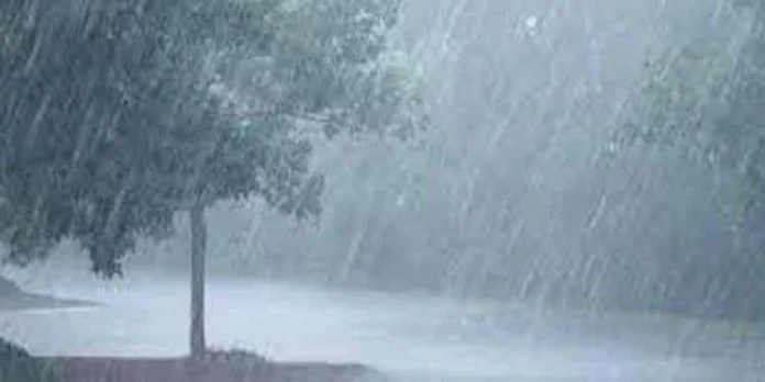 കഴിഞ്ഞ ദിവസം കോന്നിയിൽ 111 മി.മീ മഴ ലഭിച്ചു കഴിഞ്ഞ ദിവസം കോന്നിയിൽ 111 മി.മീ മഴ ലഭിച്ചു