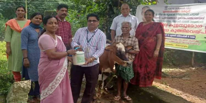 കുളമ്പ് രോഗം സൗജന്യ കുത്തിവെപ്പ് നടത്തി കുളമ്പ് രോഗം സൗജന്യ കുത്തിവെപ്പ് നടത്തി