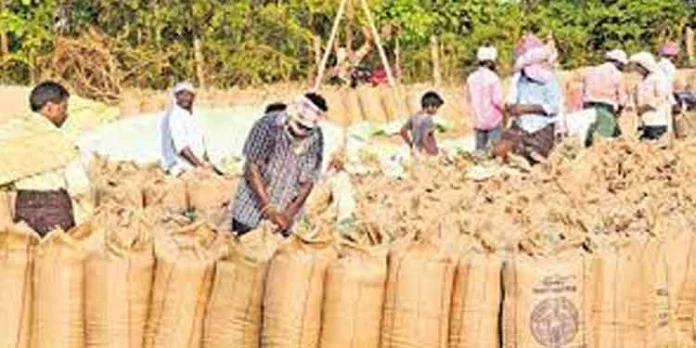 നെല്ല് സംഭരിച്ച് ഒന്നരമാസം കഴിഞ്ഞിട്ടും ഒരു പൈസ പോലും സര്ക്കാര് കര്ഷകര്ക്ക് നല്കിയിട്ടില്ല നെല്ല് സംഭരിച്ച് ഒന്നരമാസം കഴിഞ്ഞിട്ടും ഒരു പൈസ പോലും സര്ക്കാര് കര്ഷകര്ക്ക് നല്കിയിട്ടില്ല