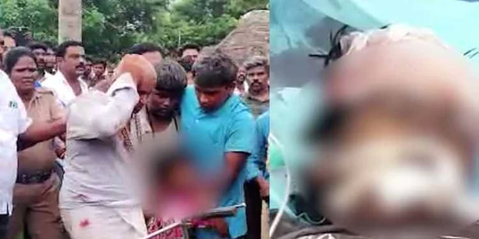 പുതുക്കോട്ടയില് ജനക്കൂട്ടം ക്രൂരമായി ആക്രമിച്ച പെണ്കുട്ടി മരിച്ചു പുതുക്കോട്ടയില് ജനക്കൂട്ടം ക്രൂരമായി ആക്രമിച്ച പെണ്കുട്ടി മരിച്ചു