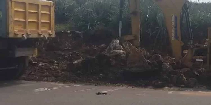 പഞ്ചായത്ത് പ്രസിഡന്റിന്റെ മകന്റെ സൈറ്റുകളിലേയ്ക്ക് മണല് കടത്തുന്നതായി ആരോപണം പഞ്ചായത്ത് പ്രസിഡന്റിന്റെ മകന്റെ സൈറ്റുകളിലേയ്ക്ക് മണല് കടത്തുന്നതായി ആരോപണം