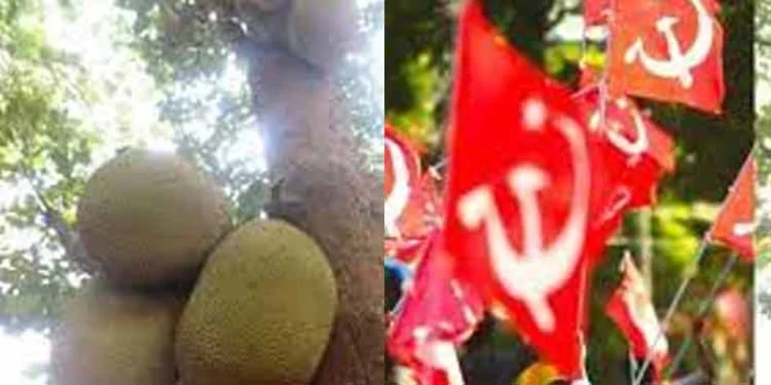 ഗവ. യു.പി.സ്കൂളിന്റെ മുറ്റത്തുനിന്ന പ്ലാവുകൊണ്ട് വീടുപണിത സിപിഎം ഏരിയാ കമ്മിറ്റിയംഗത്തെ തരംതാഴ്ത്തി ; മോഷണത്തിന് കേസെടുക്കാന് കാക്കിക്കു ഭയം ഗവ. യു.പി.സ്കൂളിന്റെ മുറ്റത്തുനിന്ന പ്ലാവുകൊണ്ട് വീടുപണിത സിപിഎം ഏരിയാ കമ്മിറ്റിയംഗത്തെ തരംതാഴ്ത്തി ; മോഷണത്തിന് കേസെടുക്കാന് കാക്കിക്കു ഭയം