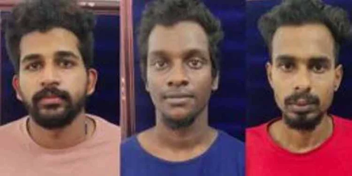 പാലക്കാട് ട്രെയിനില് കടത്തിയ 10 കിലോ കഞ്ചാവുമായി മൂന്ന് യുവാക്കള് പിടിയില് പാലക്കാട് ട്രെയിനില് കടത്തിയ 10 കിലോ കഞ്ചാവുമായി മൂന്ന് യുവാക്കള് പിടിയില്