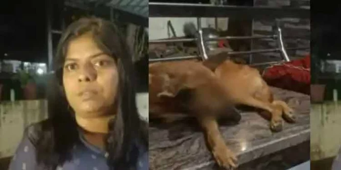 വളർത്തു നായയുടെ കണ്ണുകൾ ചൂഴ്ന്നെടുത്ത് ക്രൂരത ; സംഭവം പാലക്കാട് വളർത്തു നായയുടെ കണ്ണുകൾ ചൂഴ്ന്നെടുത്ത് ക്രൂരത ; സംഭവം പാലക്കാട്