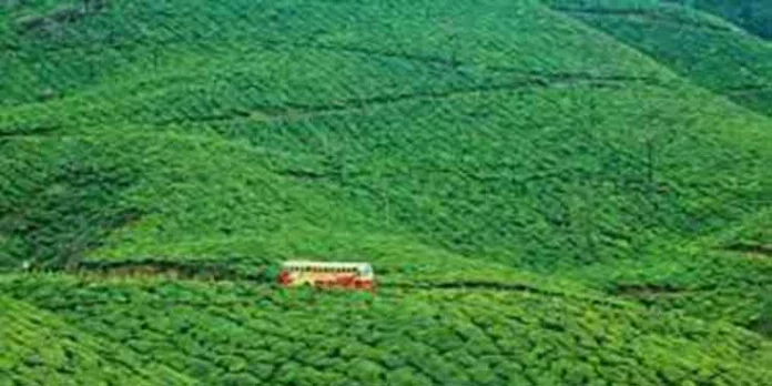 നീണ്ട തർക്കങ്ങൾക്കൊടുവിൽ കെഎസ്ആർടിസിയുടെ ഗവി ടൂർ പാക്കേജിന് വനംവകുപ്പിന്റെ പച്ചക്കൊടി നീണ്ട തർക്കങ്ങൾക്കൊടുവിൽ കെഎസ്ആർടിസിയുടെ ഗവി ടൂർ പാക്കേജിന് വനംവകുപ്പിന്റെ പച്ചക്കൊടി
