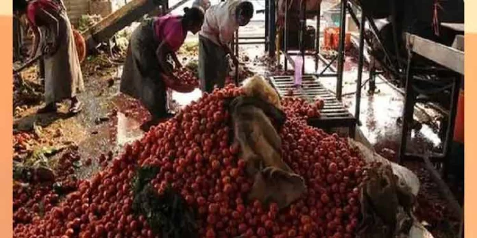 ചീഞ്ഞ പച്ചക്കറികളിൽ നിന്നും വൈദ്യുതി ; പ്രതിമാസം ലാഭിക്കുന്നത് രണ്ടരലക്ഷം രൂപ ചീഞ്ഞ പച്ചക്കറികളിൽ നിന്നും വൈദ്യുതി ; പ്രതിമാസം ലാഭിക്കുന്നത് രണ്ടരലക്ഷം രൂപ
