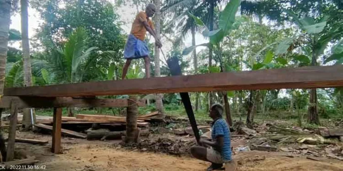 തലവടി ചുണ്ടൻ നിർമ്മാണം അവസാനഘട്ടത്തിലേക്ക് തലവടി ചുണ്ടൻ നിർമ്മാണം അവസാനഘട്ടത്തിലേക്ക്