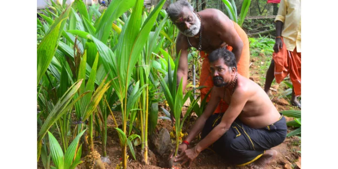 അയ്യപ്പന് സമര്പ്പിക്കാന് തെങ്ങിന്തൈ അയ്യപ്പന് സമര്പ്പിക്കാന് തെങ്ങിന്തൈ